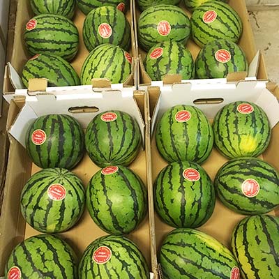 Die Wassermelonen sind bereit zum Verkauf