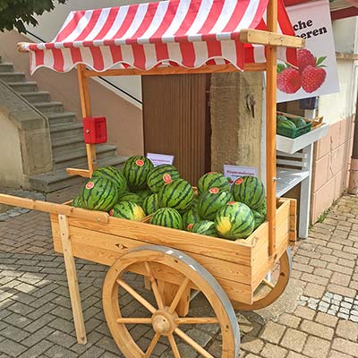 Heimische Melonen frisch vom Feld