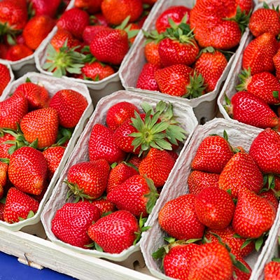 Lecker aromatische Erdbeeren
