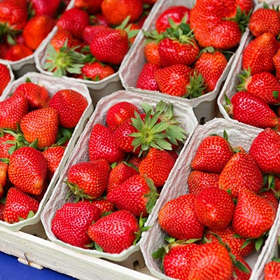 Lecker aromatische Erdbeeren